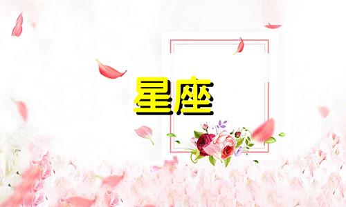 全面解读星座专题:深入剖析白羊座的性格特点