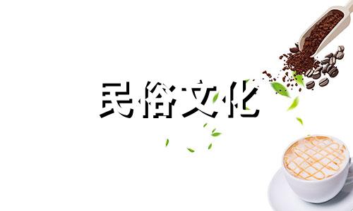 详解视频：办公室风水鱼养几条最好，黑鱼风水禁忌图片