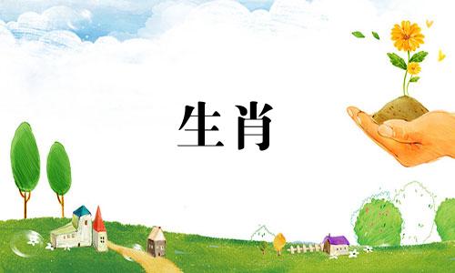 十二生肖六个合属相图解 十二生肖六个合属相图片大全，三合和六个合生肖的含义