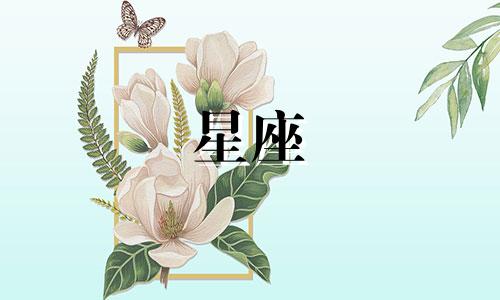 杨丞琳的星座是什么？