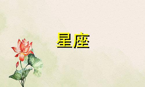 星座分析的原理和作用是什么?
