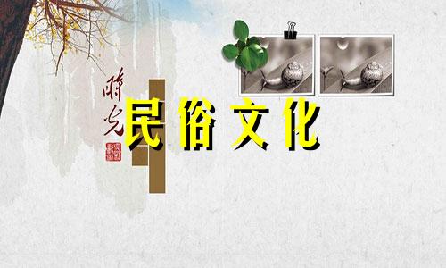 高清图片展示养植物的风水禁忌 关于植物摆放的风水注意事项