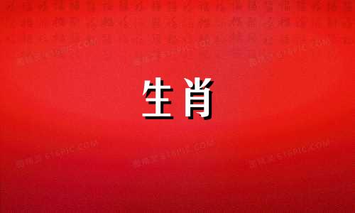 猴子最喜欢哪个生肖的女孩子？属猴的妈妈和哪个属相的孩子最合得来？属马的人和属猴的人应该生