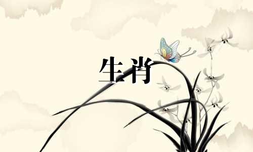 拥有众多的生肖和属相 12生肖共有多少种动物