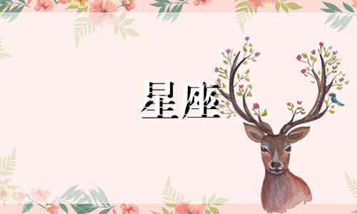 高清版李冰冰星座分析图 李冰冰个人资料