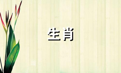 与兔相冲的属相是什么？