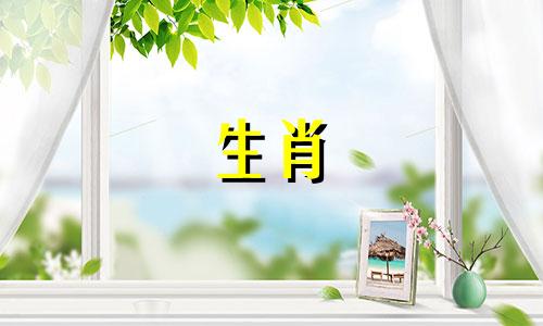 哪个生肖与属蛇的人最相配 属蛇的和哪个生肖最合得来