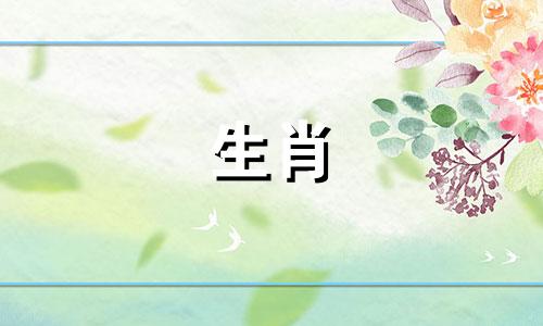 六大属相中最受认可的生肖女性 被普遍认为拥有好运的生肖女