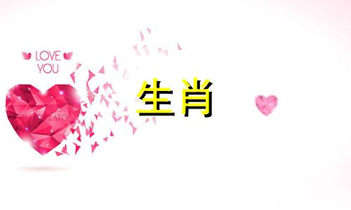 生肖猪最适合与哪个属相相配？