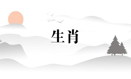 十二生肖中的冷血动物 十二生肖趣谈蛇