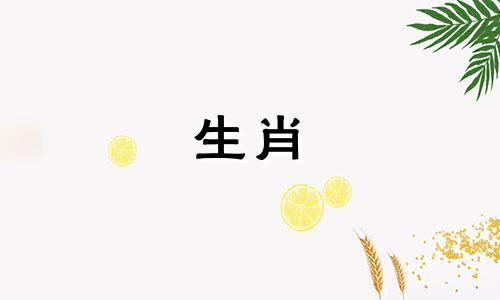 十二生肖属相怎么推算属猪 怎么学会推算自己的属相,知道出生年月,怎么快速算出生肖