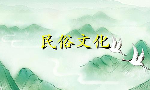 鸭脚木家居风水禁忌是什么 鸭掌木摆放最佳位置1. 避免将鸭脚木放置在门口或窗户附近