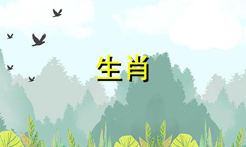 兔的生肖最相配的三个属相 兔子的三合属相