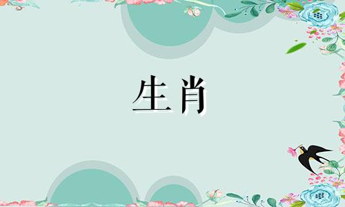 哪个属相在十二生肖中拥有最好的运势和福运？