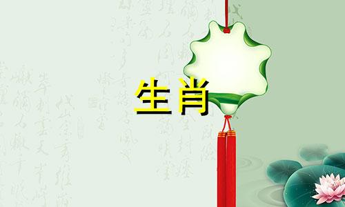 伤官的五行属相是哪个生肖 十二生肖中每个生肖是如何被分为五行的