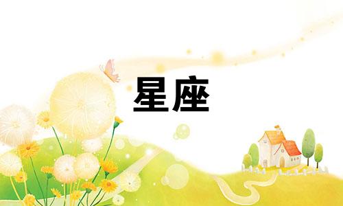 苏珊米勒每日星座运势 2月19日