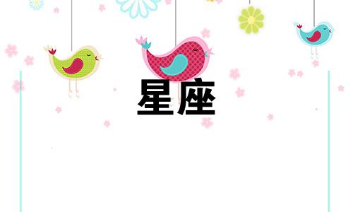 "分析图片：十二星座男友中哪五个最具吸引力，遇到时是否应该紧紧抓住机会？"