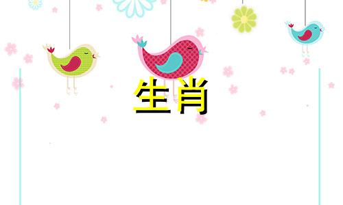 鸡生肖的最佳配偶是什么属相 属鸡的人最适合与哪个属相结婚