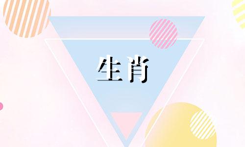 上半身和下半身分别代表什么生肖?