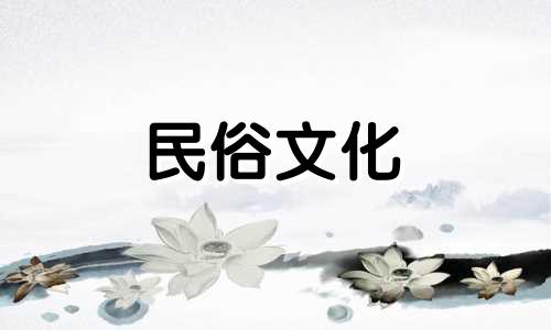 风水禁忌图片：陶瓷龙虾摆放与后人的关系