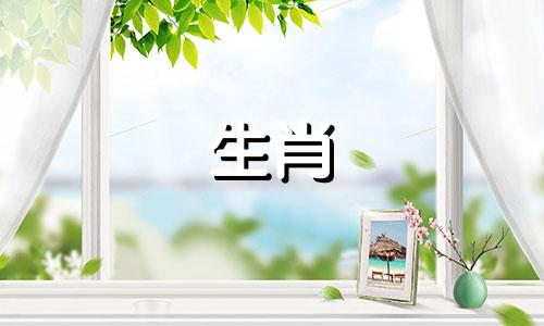 生肖猪与属牛的相冲吗？