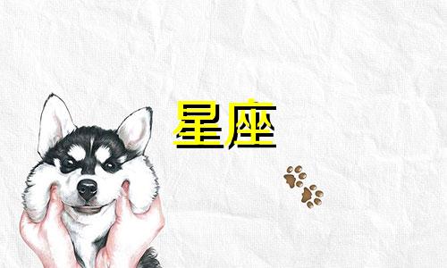 2023年11月十二星座爱情运势排名前四的真爱星座分析图表