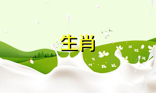 生肖马适合戴什么属相玉 属马佩戴什么属相好