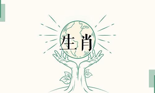 1996年最好的生肖属相是什么 1996年1月1日属于哪个生肖