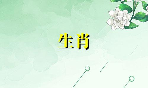 十二生肖属相的最佳排序是什么？