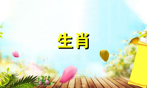 "这首诗的谜底是哪一个生肖？"