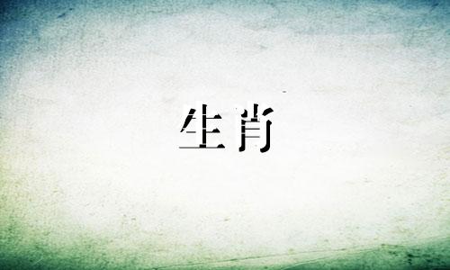 属猴生肖与哪个属相最相配？