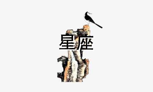 竹子星座男生的性格特点分析 十二星座男生的性格特征