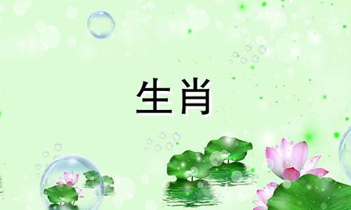 只猜一个属相的生肖女 女人猜一生肖可以改写为只猜一个属相的生肖女性。