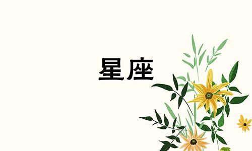 海贼王反派角色星座分析图表 海贼王中的角色分别属于哪个星座