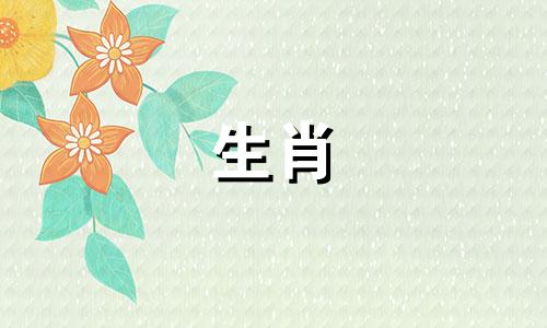 女生肖鼠和男生肖龙的性格配对分析