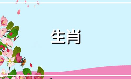 哪个属相与生肖狗最相配 属狗的人最适合和哪个属相的人在一起