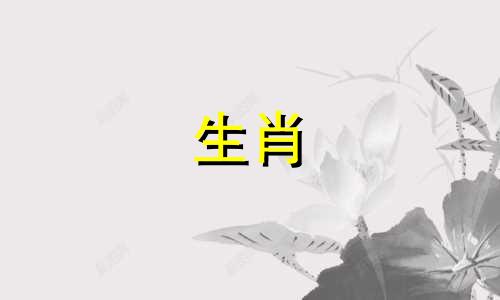 在虎年中，哪些生肖属相最有可能遇到贵人提携并获得更多机会呢？