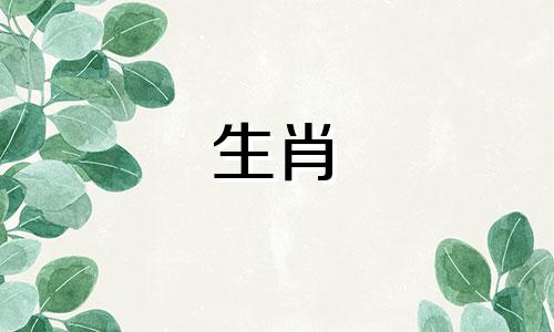 属鼠的人与哪个生肖最相配 属老鼠的人与哪个生肖最合得来，老鼠的六个相合生肖是什么