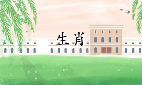 能否使用自己的生肖属相作为头像 例如使用本人生宵属相的卡通图片作为头像是否合适?