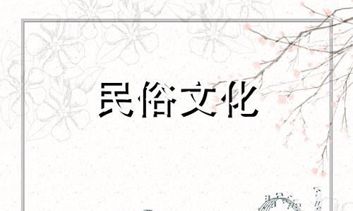 绿萝摆放风水禁忌：家养绿萝的全面指南