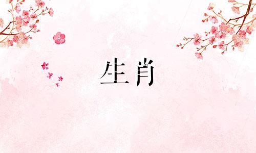 属狗的人与哪个生肖相冲呢?