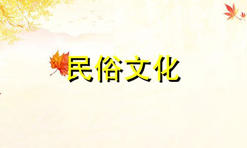 视频解读：养猫的风水禁忌与注意事项