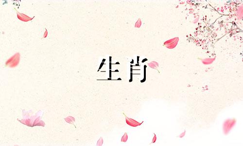 十二生肖的动物属相是什么？