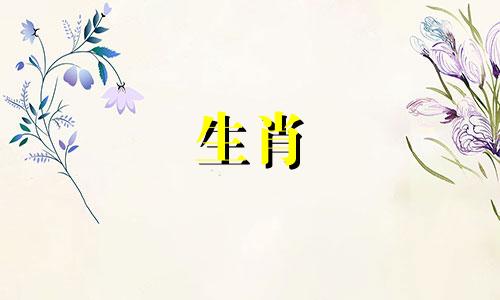 自己的12生肖属相是什么？ 十二生肖分别代表什么属相，它们分别属于金木水火土五行。