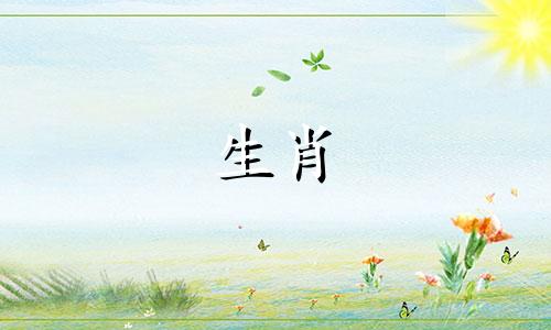 十二生肖中，属羊的人与属羊的人结婚会如何？属羊的配偶应该是什么生肖？