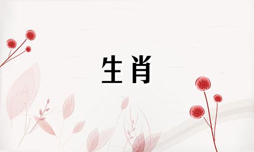 今年56岁的人属于哪个生肖 56岁的人出生于哪一年