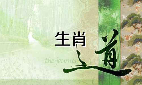 美丽妻子的生肖配对图表 十二生肖最佳伴侣图片