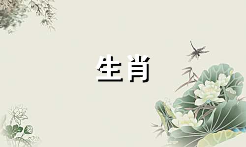 有几个生肖和属相属于文官 三品官是哪个十二生肖的动物