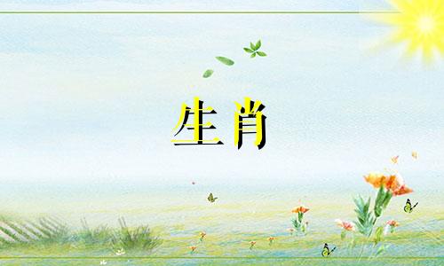 今年26岁的人属于什么生肖？