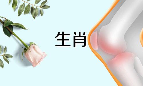 萌萌的属相是什么生肖呢？ 萌字代表哪个生肖，哪种动物